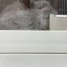 2026/05/15の画像