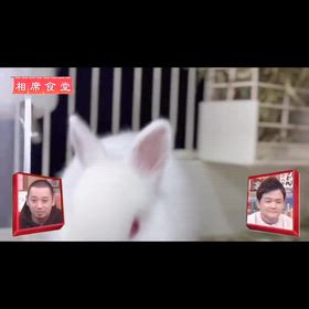 2026/04/25の画像