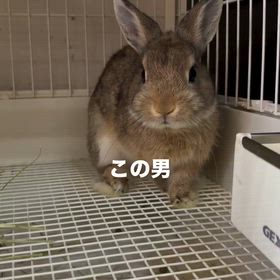 2026/09/05の画像