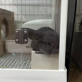 2026/08/16の画像