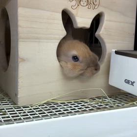 2026/08/28の画像