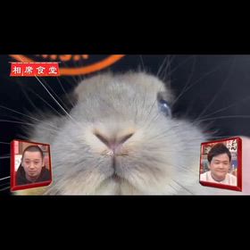 2026/04/10の画像