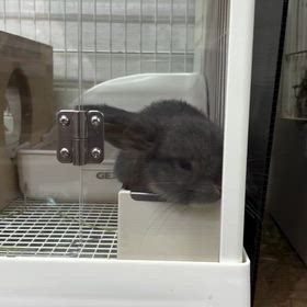 2026/08/16の画像