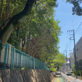 暑さ増す 2023.7.24の画像