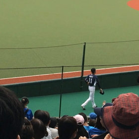 大丈夫！ミンゴスの画像