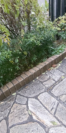 明けましておめでとうございますの記事動画