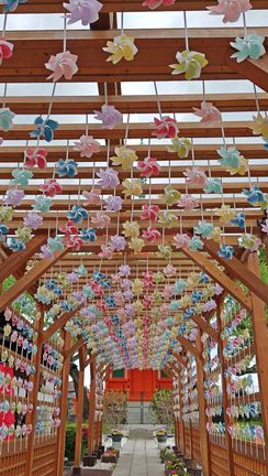 藤の花を見に✩.*˚の記事動画