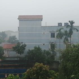 ハロワガットの今日の雨の画像