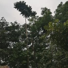 今日は１日風が吹いていたの画像