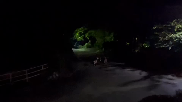 弾丸旅日記 〜大山編 前編〜の記事動画