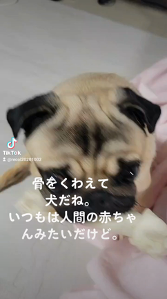 お疲れ様ですの記事動画