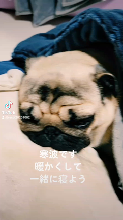 寒波の記事動画