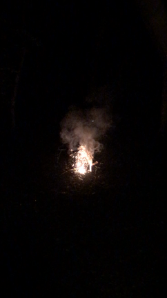 吹き上げ花火の記事動画