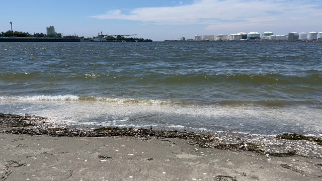 ⭐️近場の海⭐️の記事動画