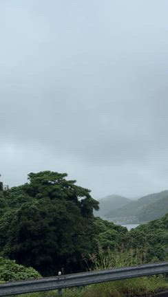 日南海岸ドライブウェイの記事動画