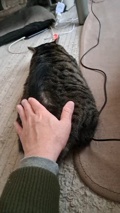 シャロンくんはかわいい怪獣です。の記事動画