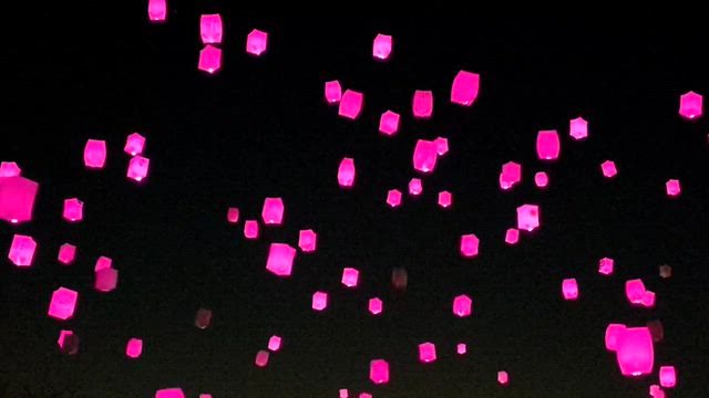【茨城】古河公方公園③（花桃灯夜宴2026）の記事動画
