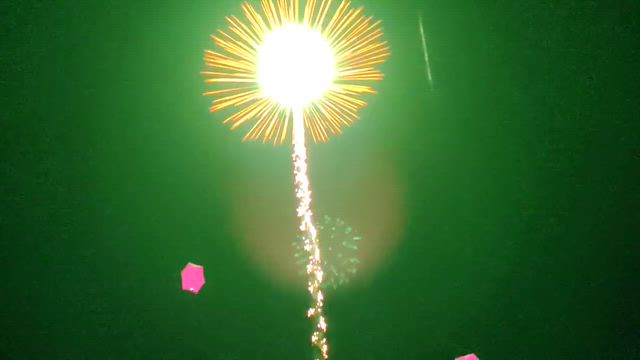 【茨城】古河公方公園③（花桃灯夜宴2026）の記事動画