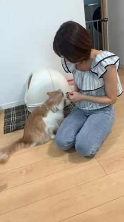 10月のお知らせ☆の記事動画
