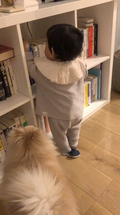 久しぶりのお休みの日の記事動画