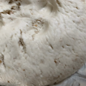 世界初　自然界の菌で　米パンを作るの画像