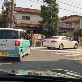 桜坂、満開でした。の画像