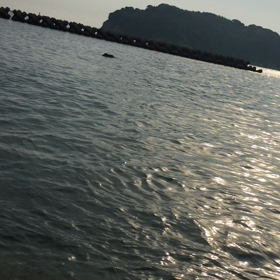 海の画像