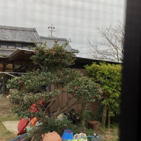 春のイケボさんがやってきた♪の画像