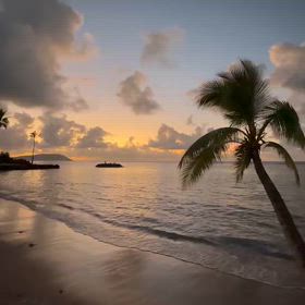 再会を楽しみにの画像