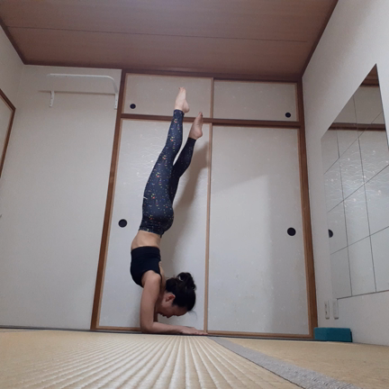 ピンチャマユラーサナ練習の記事動画