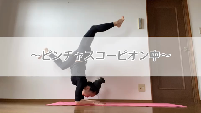 2022年スタートの記事動画