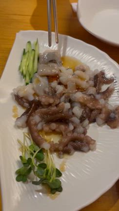 プチ旅行の記事動画