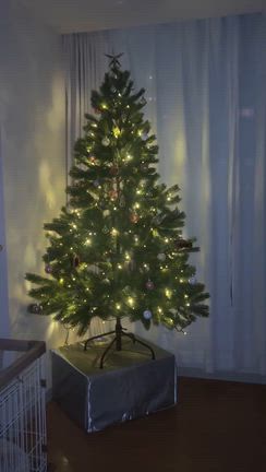 クリスマスツリー^ ^の記事動画