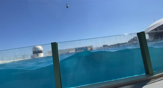 日帰り旅行！！おばさん達から史上最高の誕生日プレゼント！鴨川シーワールドの記事動画