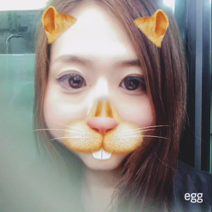 最近のあれこれの記事動画