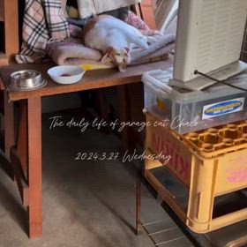 2024/03/28の画像