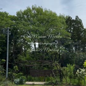 2024/05/02の画像