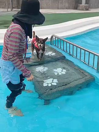夏の思い出。プールの記事動画
