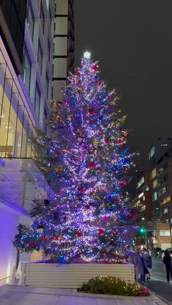 青山骨董通りのクリスマスツリーに魅せられちゃいました。の記事動画
