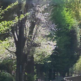 来年までの画像