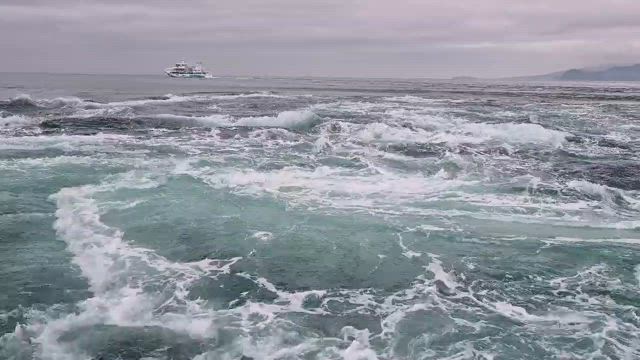 息子と旅１日目～渦潮とカツオと温泉とうどん、そしてスタバ～の記事動画