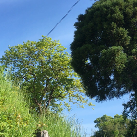 八女市エステ・お顔そりの画像