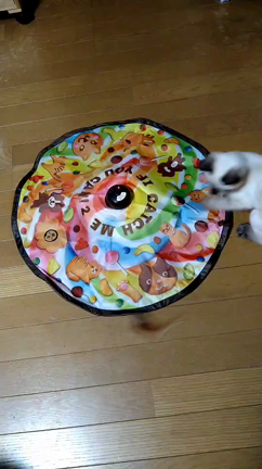 気配がしょぼいので猫動画で現実逃避(爆w)の記事動画
