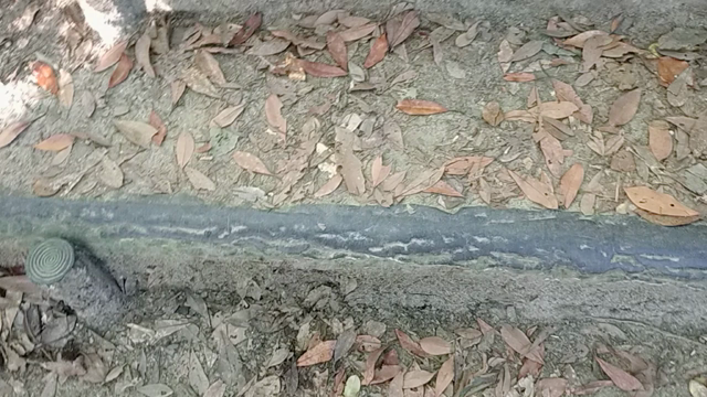 私の力なんてもんはないの記事動画