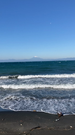 富士山と鯨との記事動画