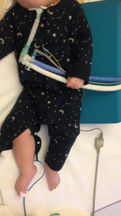 31日目  ミルク減るの記事動画