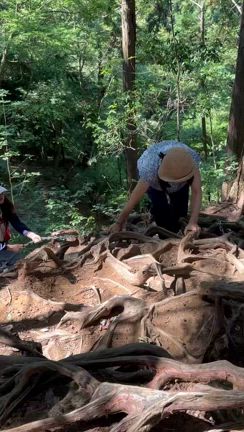 パワースポット御嶽神社と御岳山の記事動画