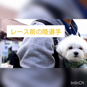 #32【マルフェス2020】の画像