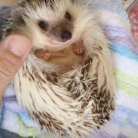 ＊ルーク 朝風呂の画像