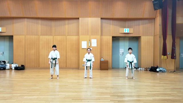 型動画　太極1　太極3の記事動画